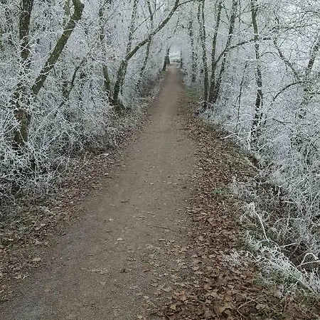 Des Pecheurs Дом отдыха